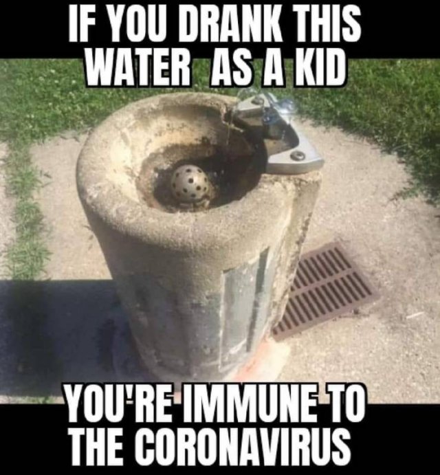 1582575344_d0119s3lym.jpeg