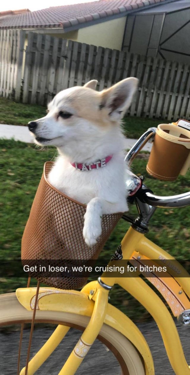 1582660377_w9es4g92v1.jpeg
