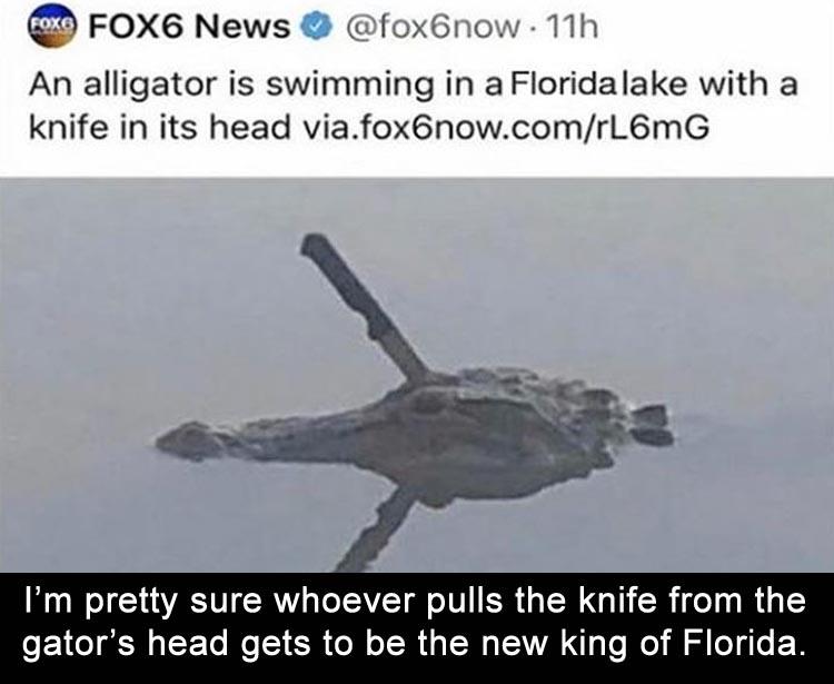 1582750656982.jpeg