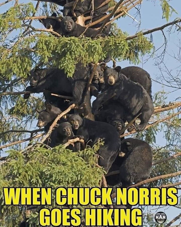 1582782135747.png