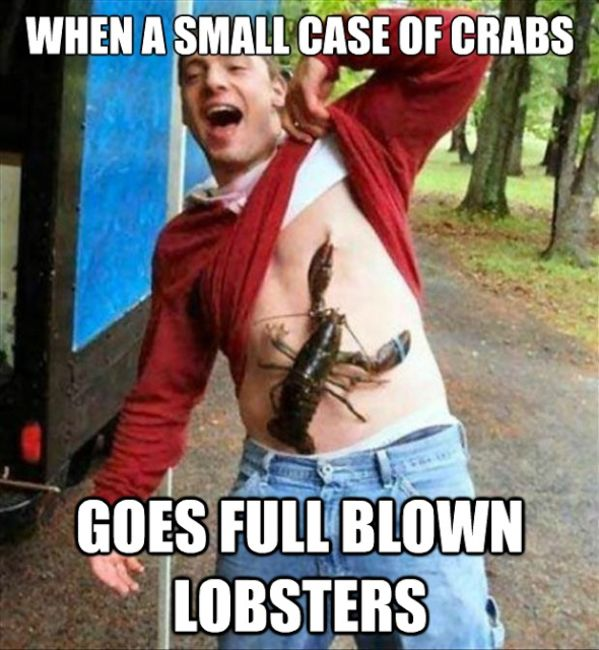 1582964655741.png