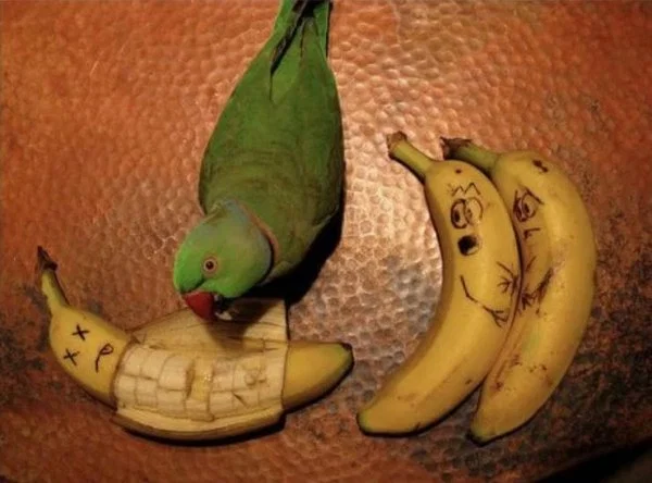 1583047482029.png