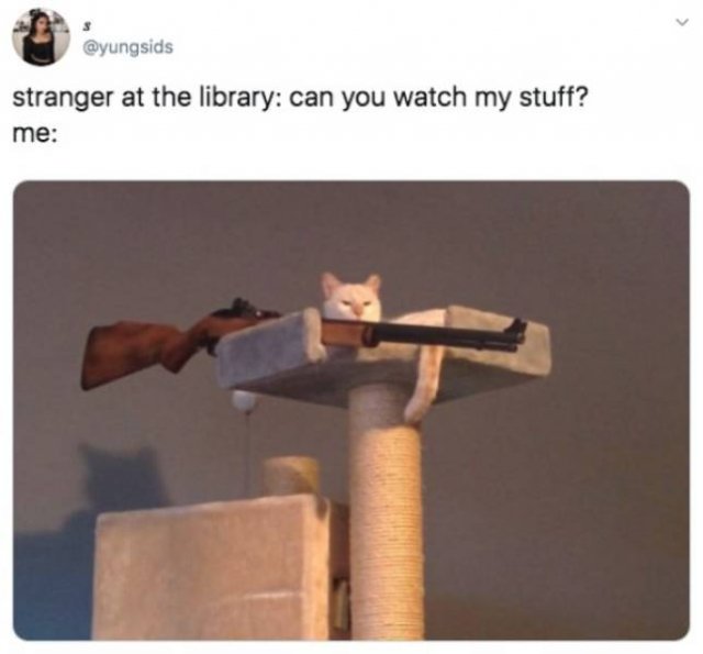 1583171454_1gxd2w8r76.jpeg