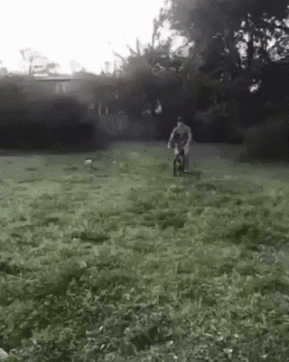 1583354443685.gif