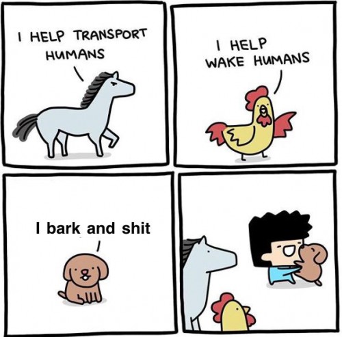1583369287036.jpeg