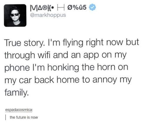 1583707358115.jpeg