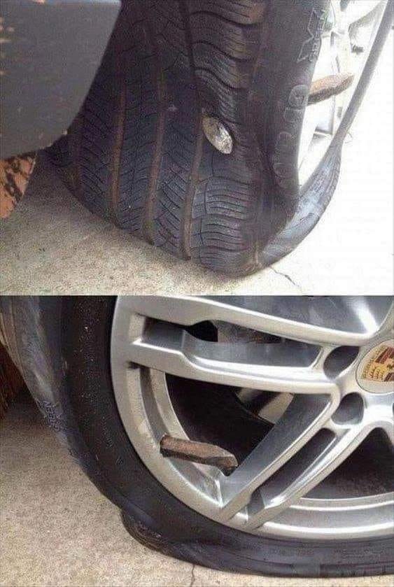 1583809279016.jpeg