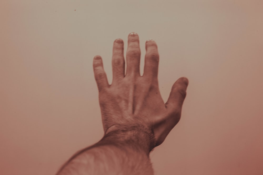 1584039245660.png