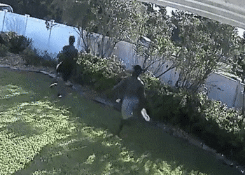 1584059650142.gif