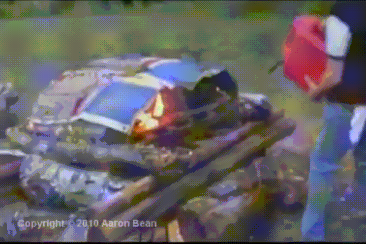 1584116647584.gif