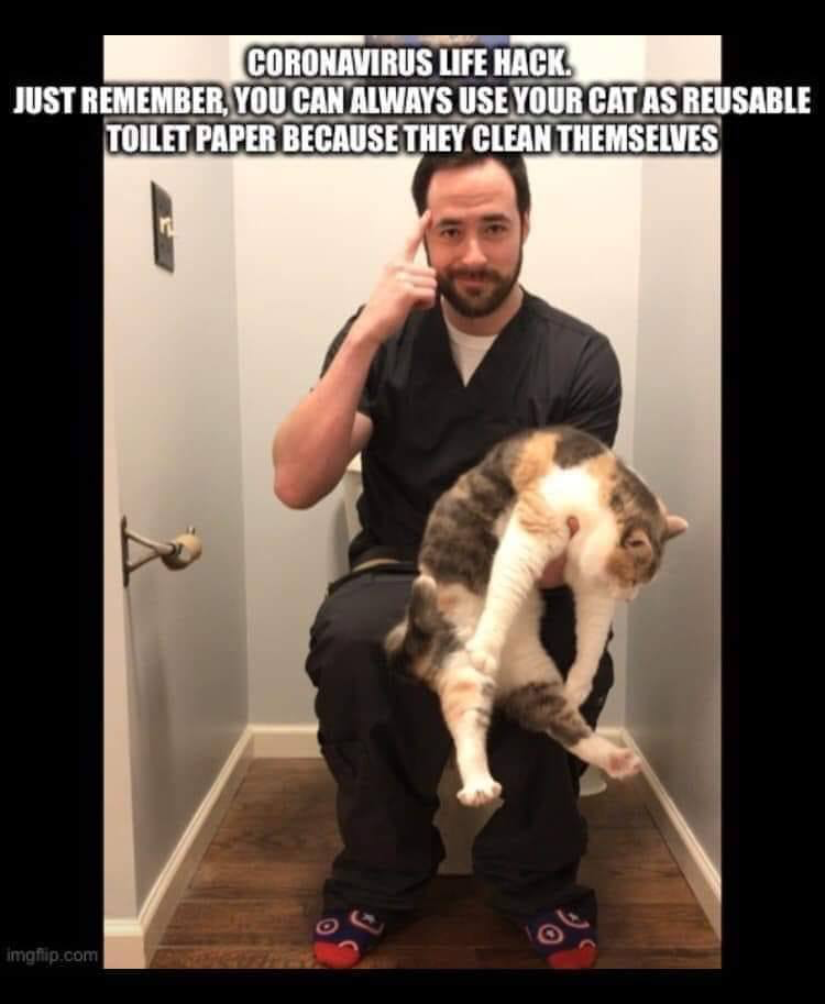 1584228007924.png