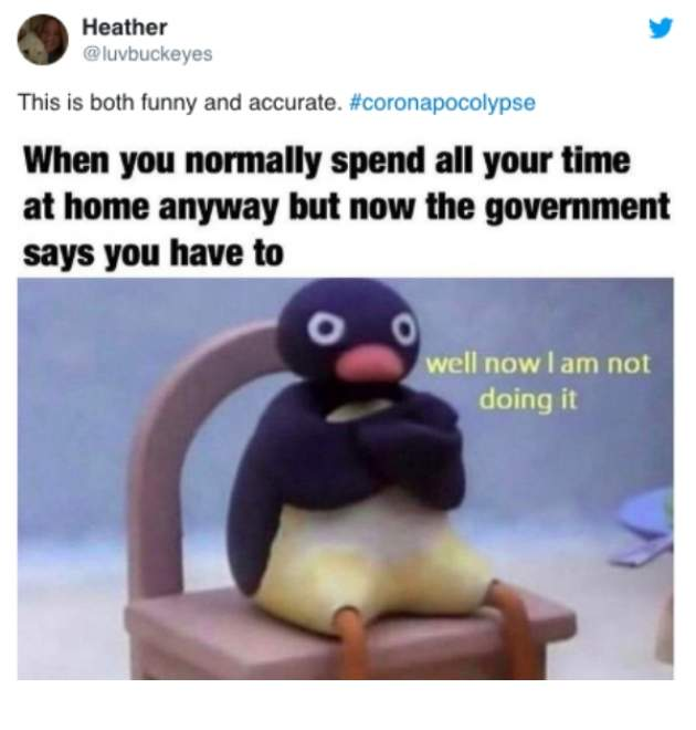 1584590046328.png
