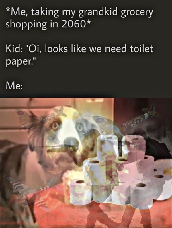 1584638134_5rmqph95v5.jpeg
