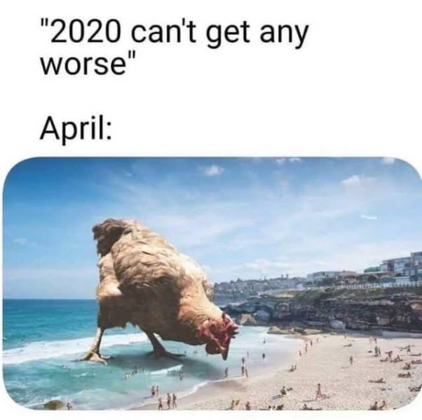1584639686_0l7lyihs67.jpeg