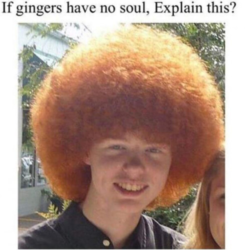 1584756252583.png