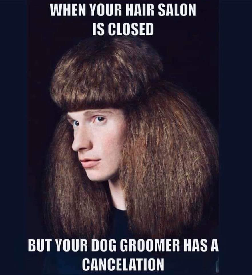 1584982837078.png
