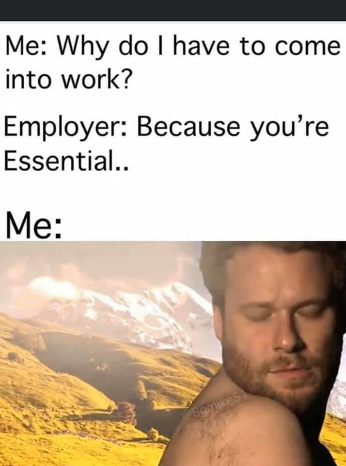 1585018495436.png