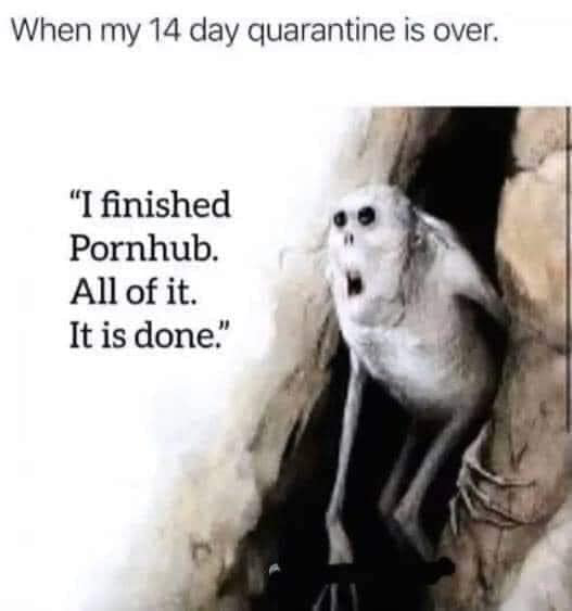 1585106856036.png
