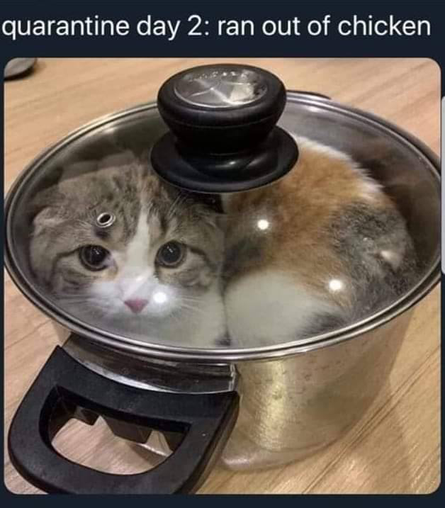 1585189784546.png