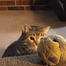 1585349691581.gif