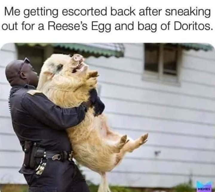 1585531465068.jpeg