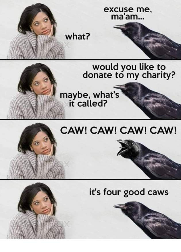 1585535365565.png