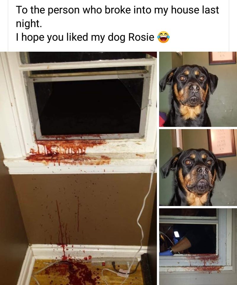 1585583044729.png