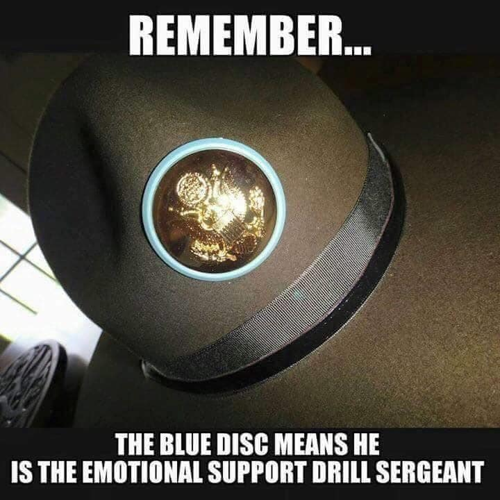 1585915547219.png