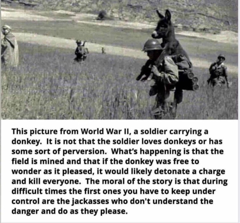 1585966019491.png
