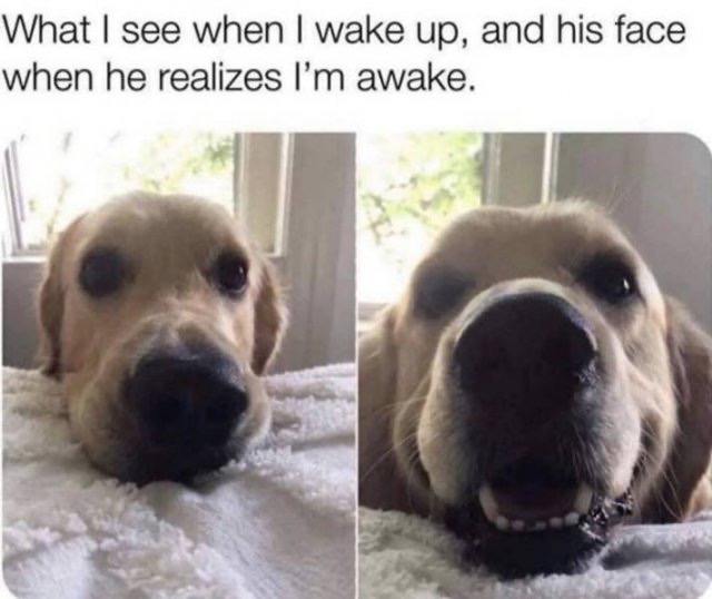 1586107147_e1hqwlrvt5.jpeg