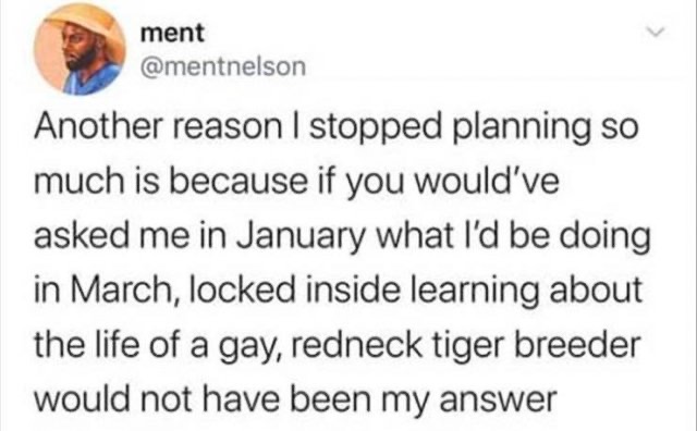 1586107167_ggjiz2b16u.jpeg