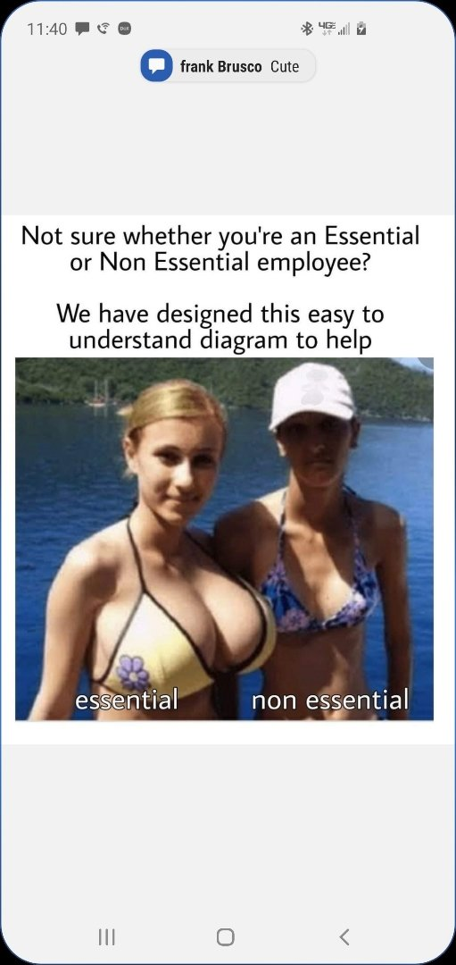 1586393071810.png