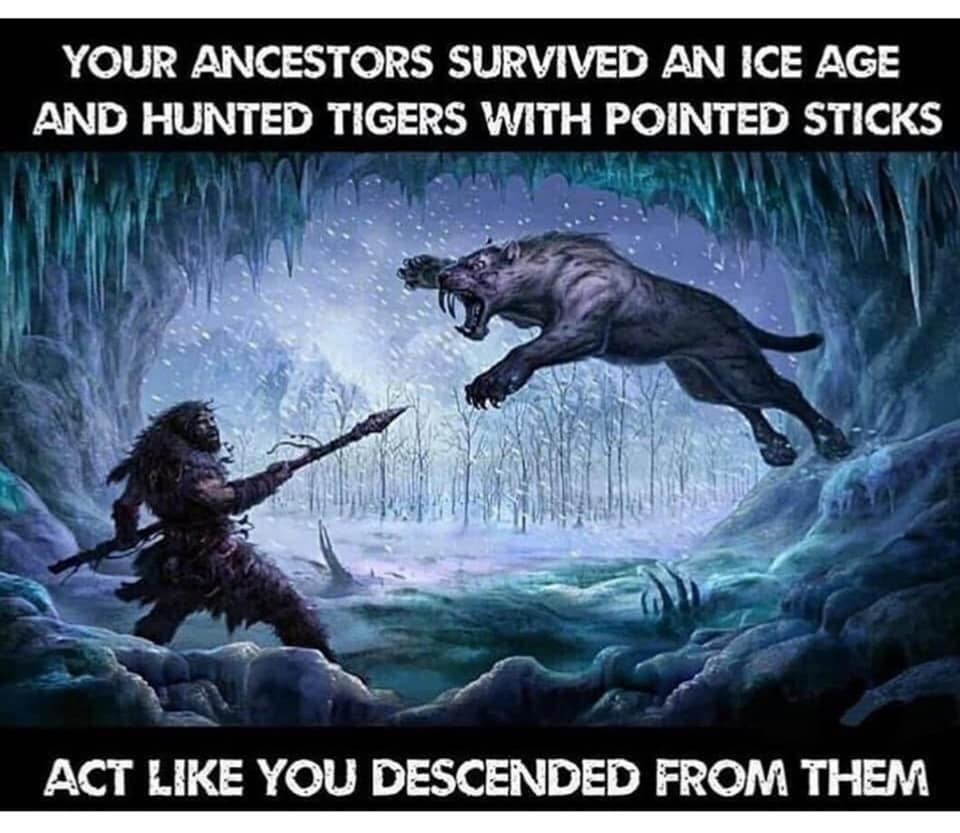 1586521716820.png