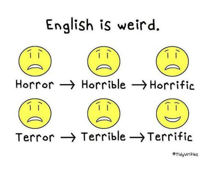1586894392731.png