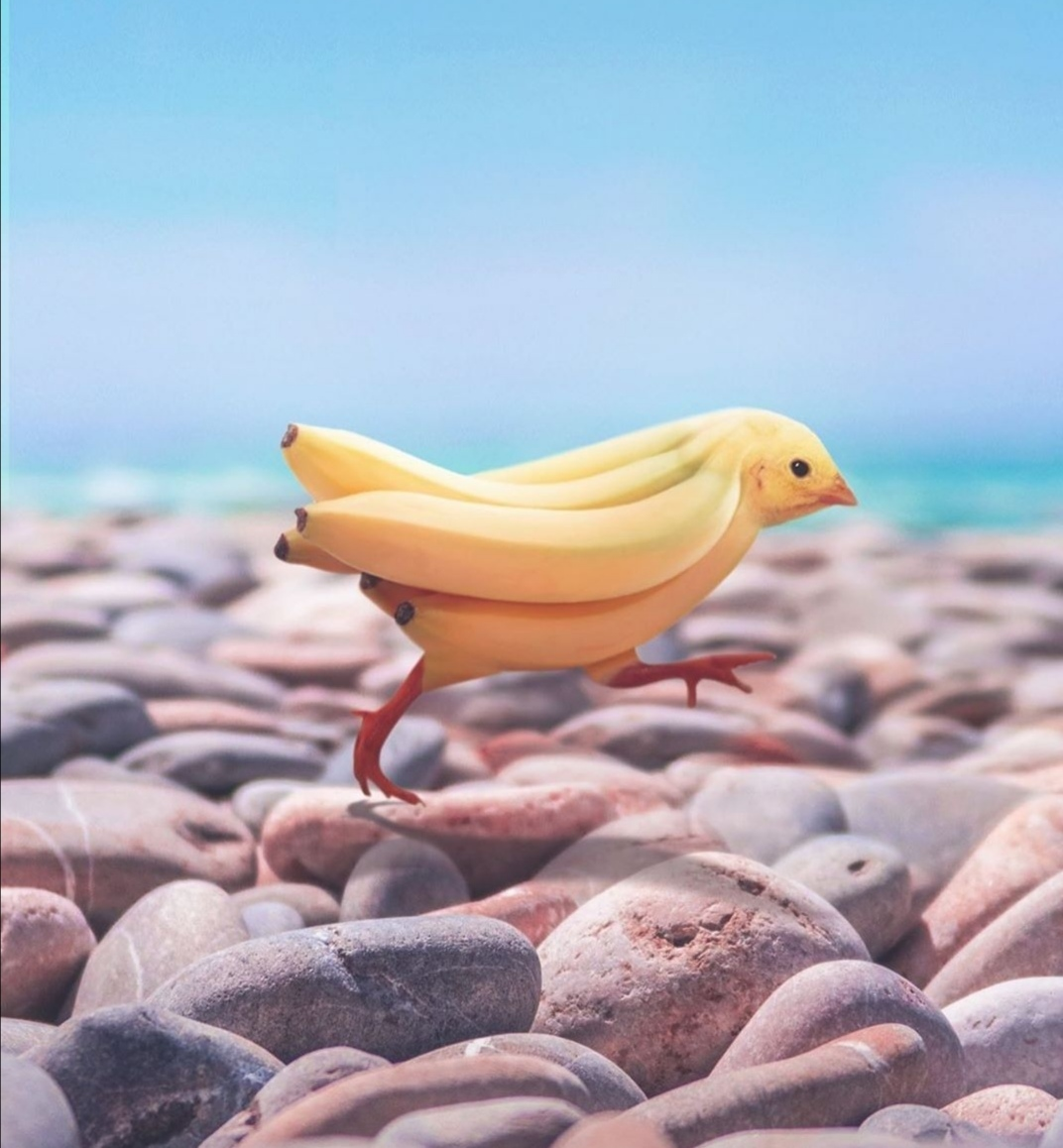 1586979521421.png