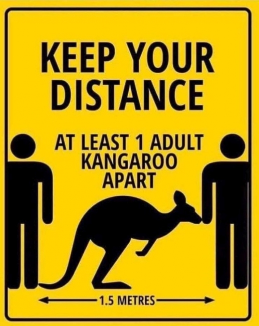 1587084990804.png