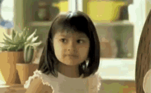 1587094147540.gif