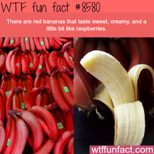 1587313199557.png