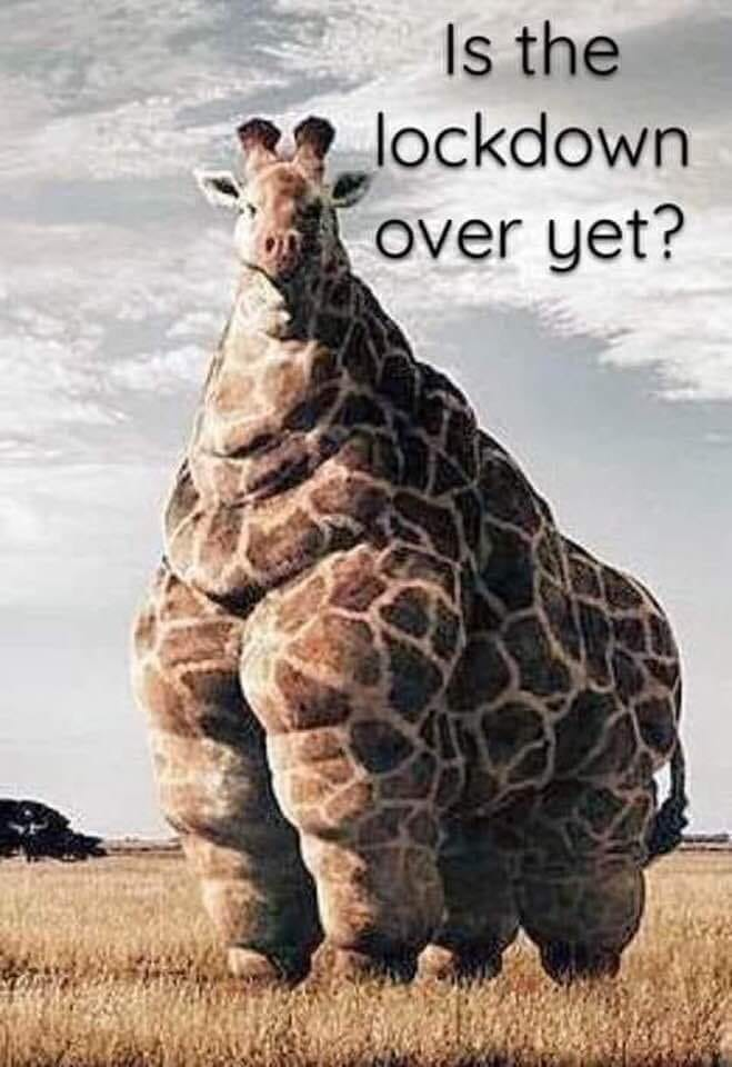 1587603630918.png