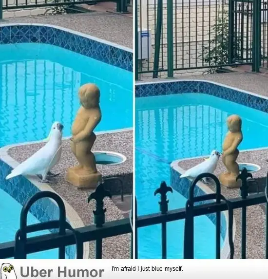 1587703981215.png