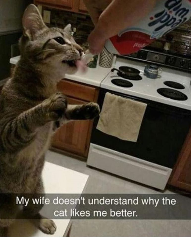1587926504132.png