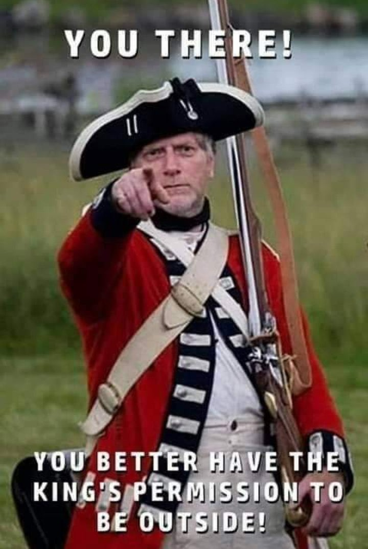 1588150529394.png