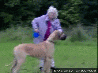 1588175500_kdpynz1357.gif