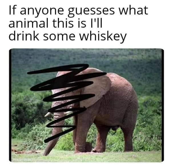 1588212096829.png