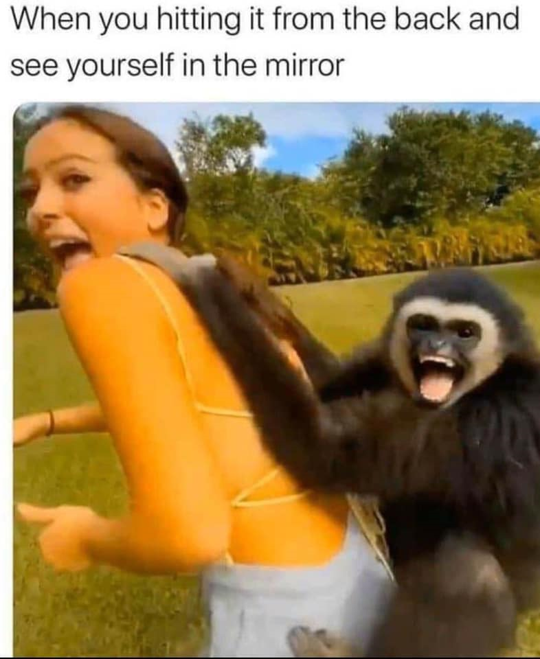 1588223657863.png