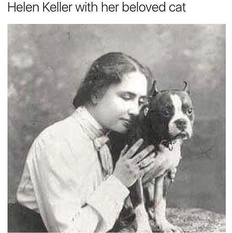 1588294004698.jpeg