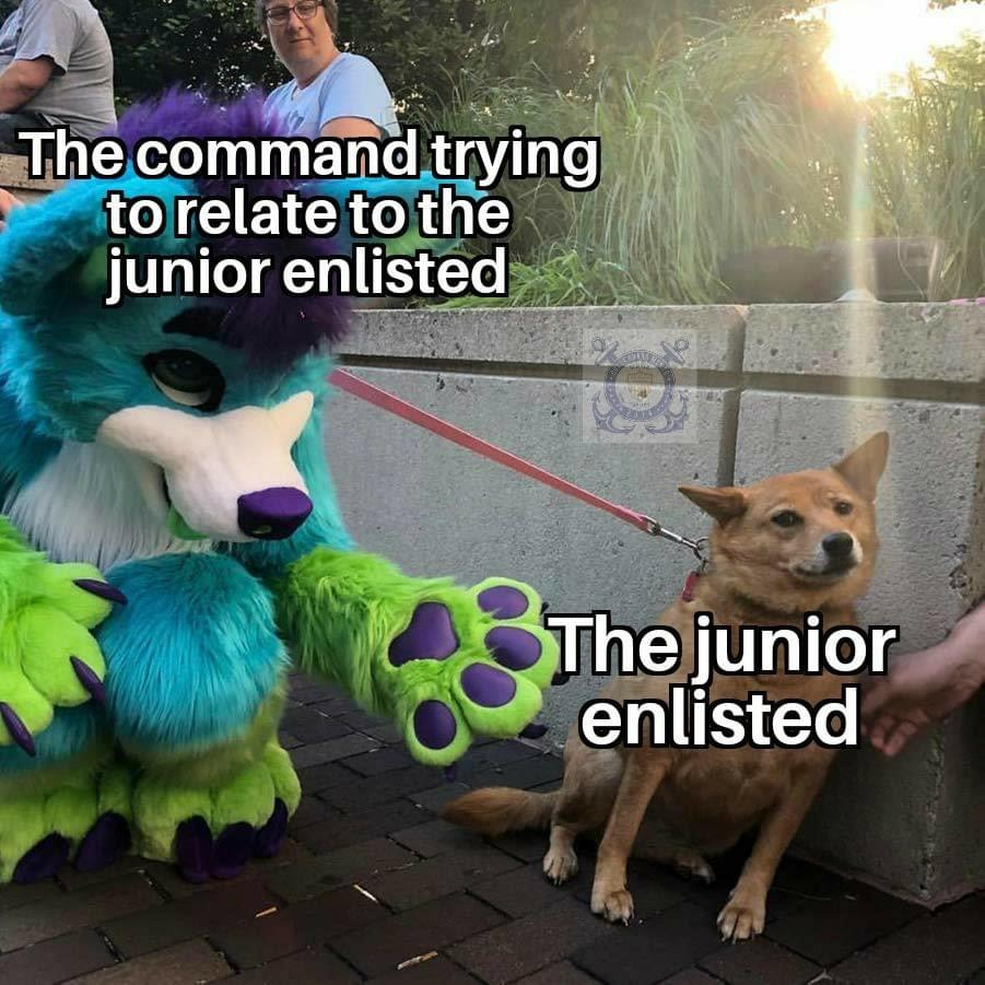 1588524236147.png