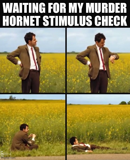 1588820128708.png