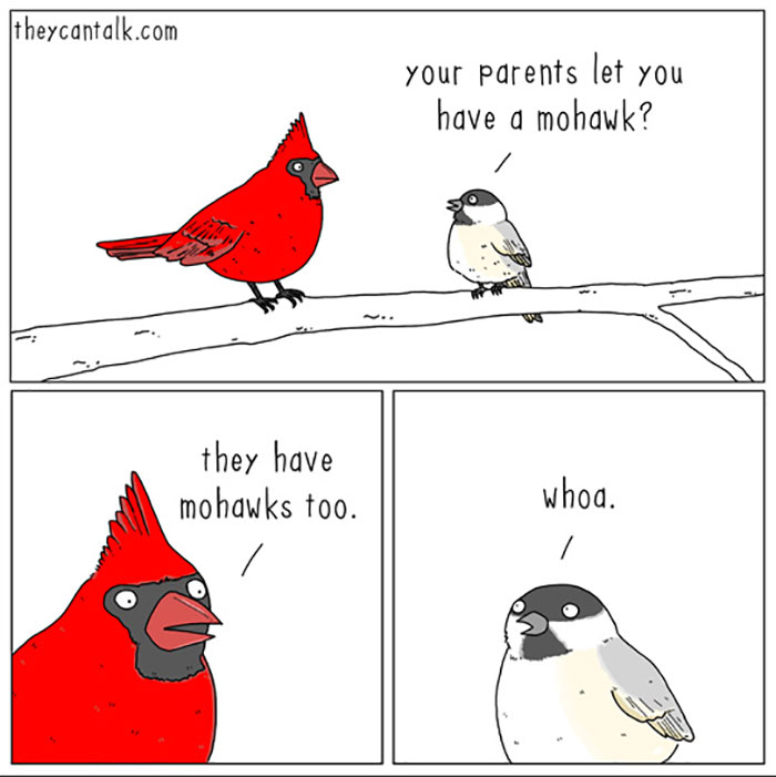 1589004794338.jpeg