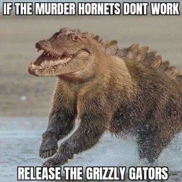 1589108235717.png